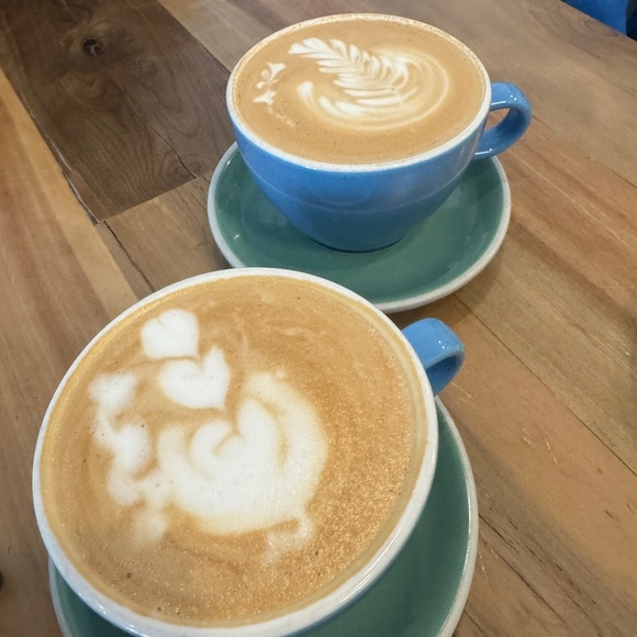 Pop-Up Live Share Shows - Picture 16 of 16